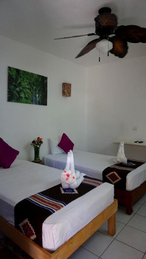 Selva Y Mar Apart Hotel Playa del Carmen Exteriör bild